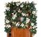 30" Pre-Lit White & Gold Magnolia Christmas Wreath